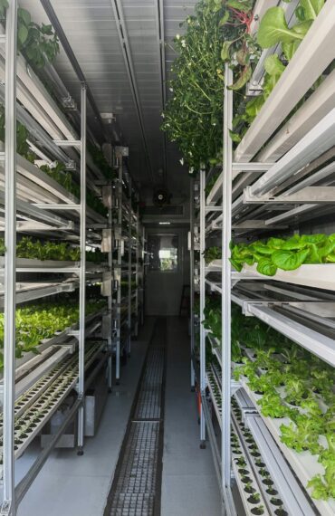 Vertical hydroponic farm with leafy greens